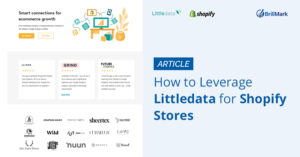 How to Leverage Littledata for Shopify Stores - BrillMark