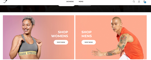 Top Shopify Stores for Inspiration in 2022 | Brillmark