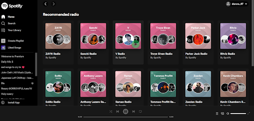 Spotify: Personalized Presentation- Brillmark